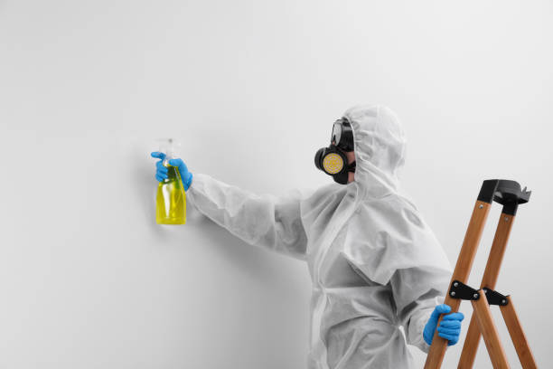 Best Asbestos and Lead Testing During Mold Inspection  in Chester, SC